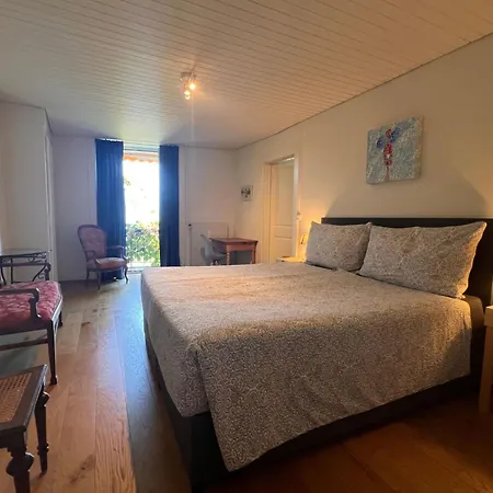 Vigneronne- Vigne By Interhome * Blonay