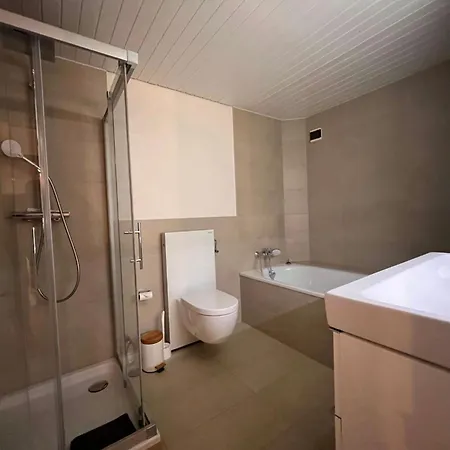 Vigneronne- Vigne By Interhome Appartement Blonay