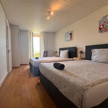 Vigneronne- Vigne By Interhome Appartement Blonay