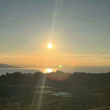 Vigneronne- Vigne By Interhome * Blonay