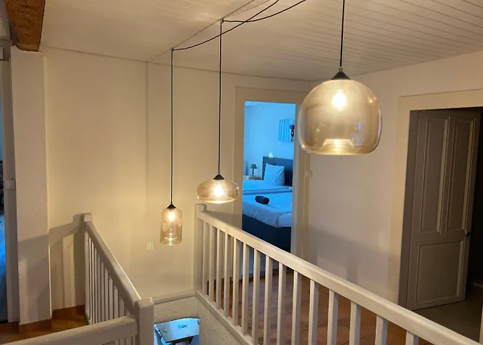 Vigneronne- Vigne By Interhome Appartement Blonay