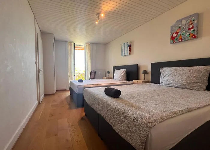 Vigneronne- Vigne By Interhome Apartman Blonay