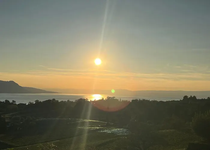 Vigneronne- Vigne By Interhome * Blonay