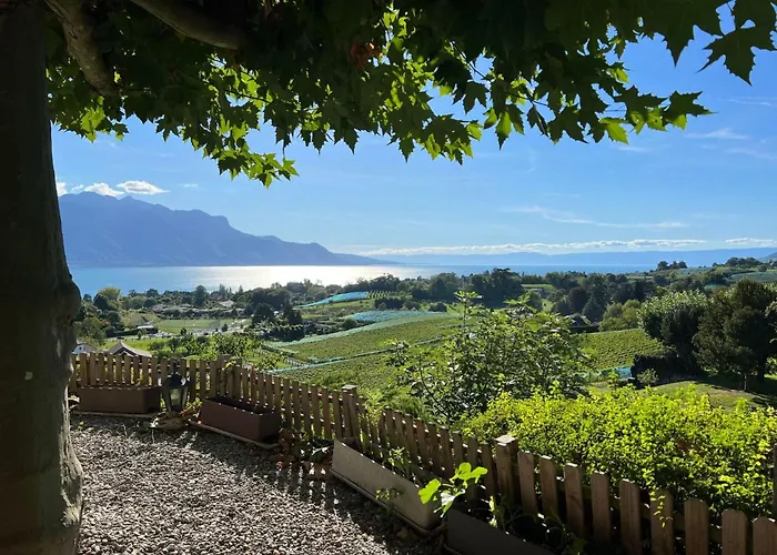 Vigneronne- Vigne By Interhome Apartman Blonay