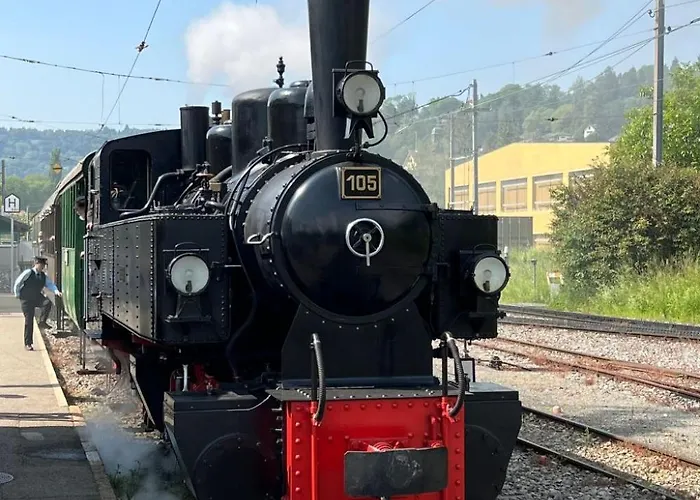 Vigneronne- Vigne By Interhome Blonay