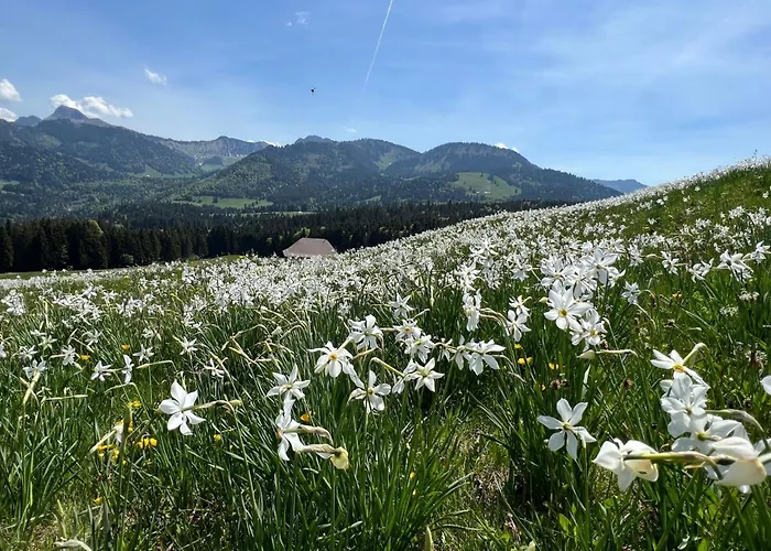 Appartement Vigneronne- Vigne By Interhome *