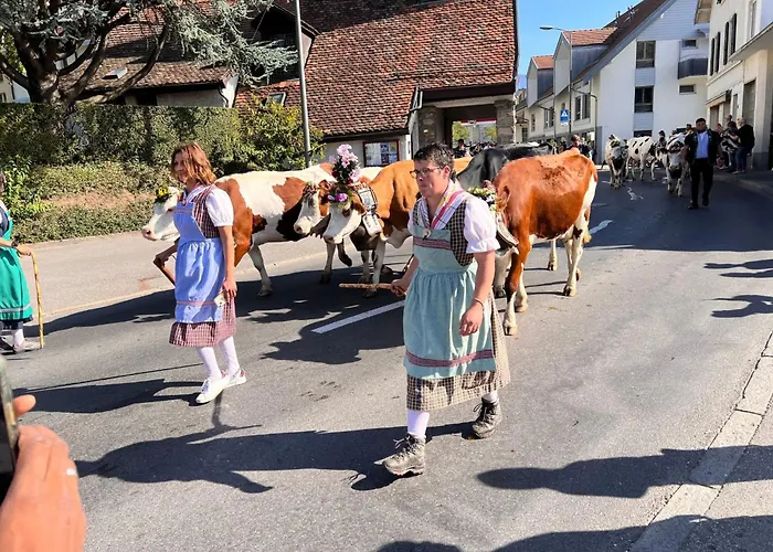 Vigneronne- Vigne By Interhome * Blonay