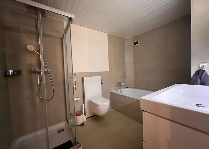 Vigneronne- Vigne By Interhome Apartment Blonay