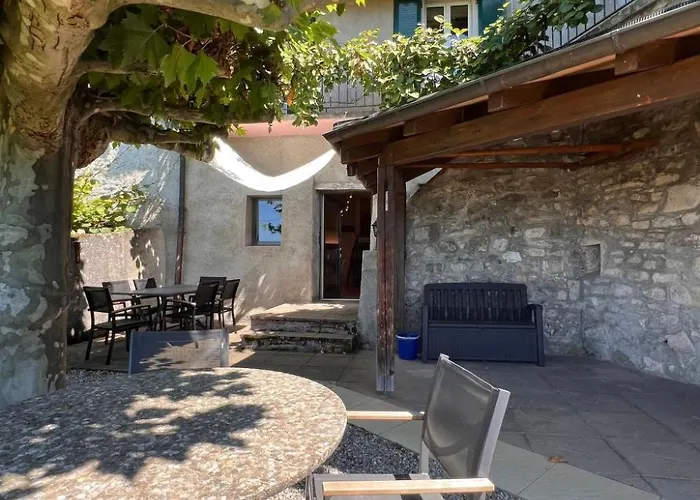 Vigneronne- Vigne By Interhome * Blonay