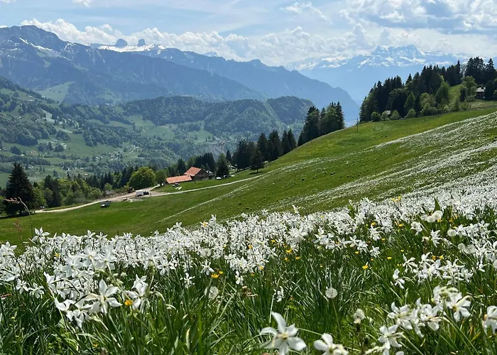 Vigneronne- Vigne By Interhome *